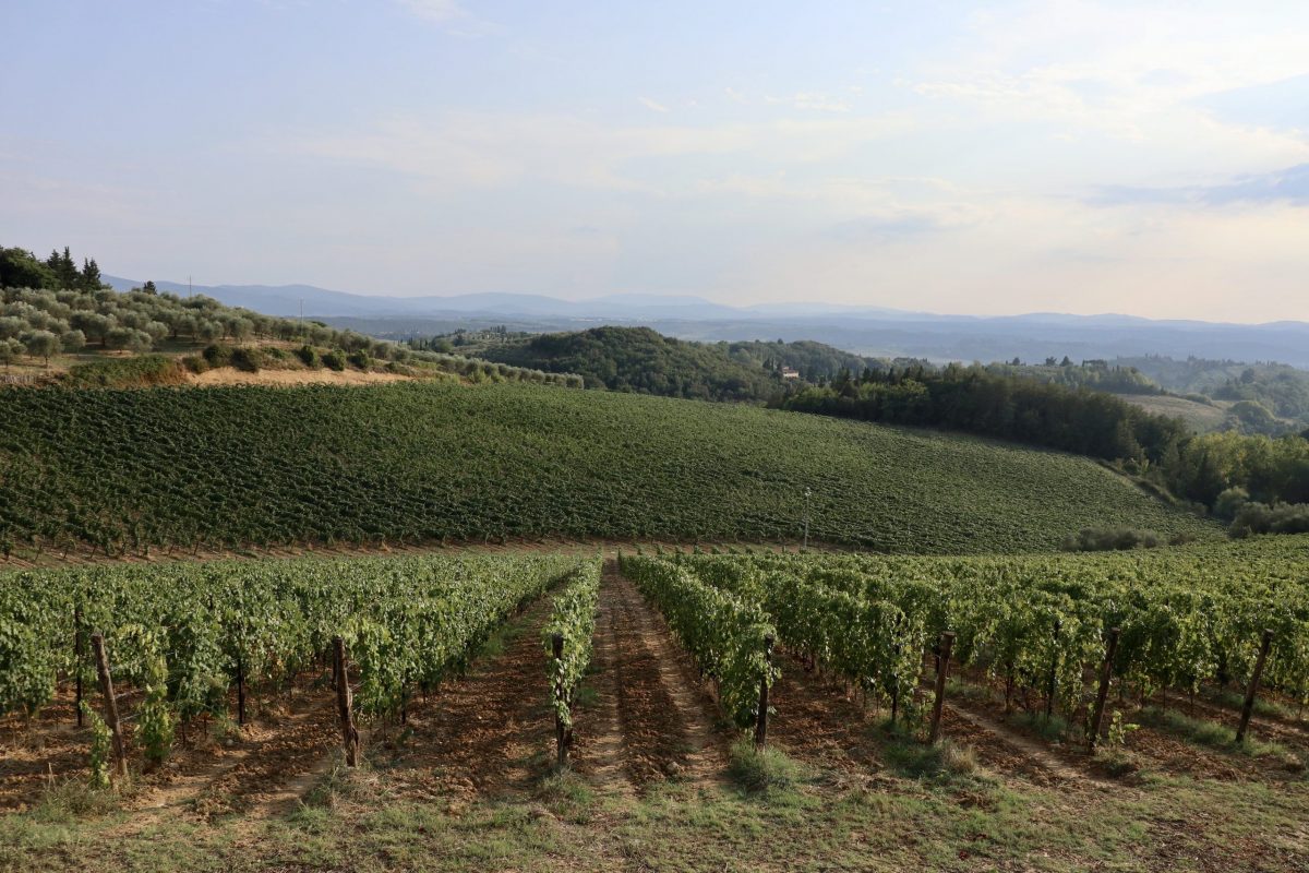 Weinregion Chianti in der Toskana