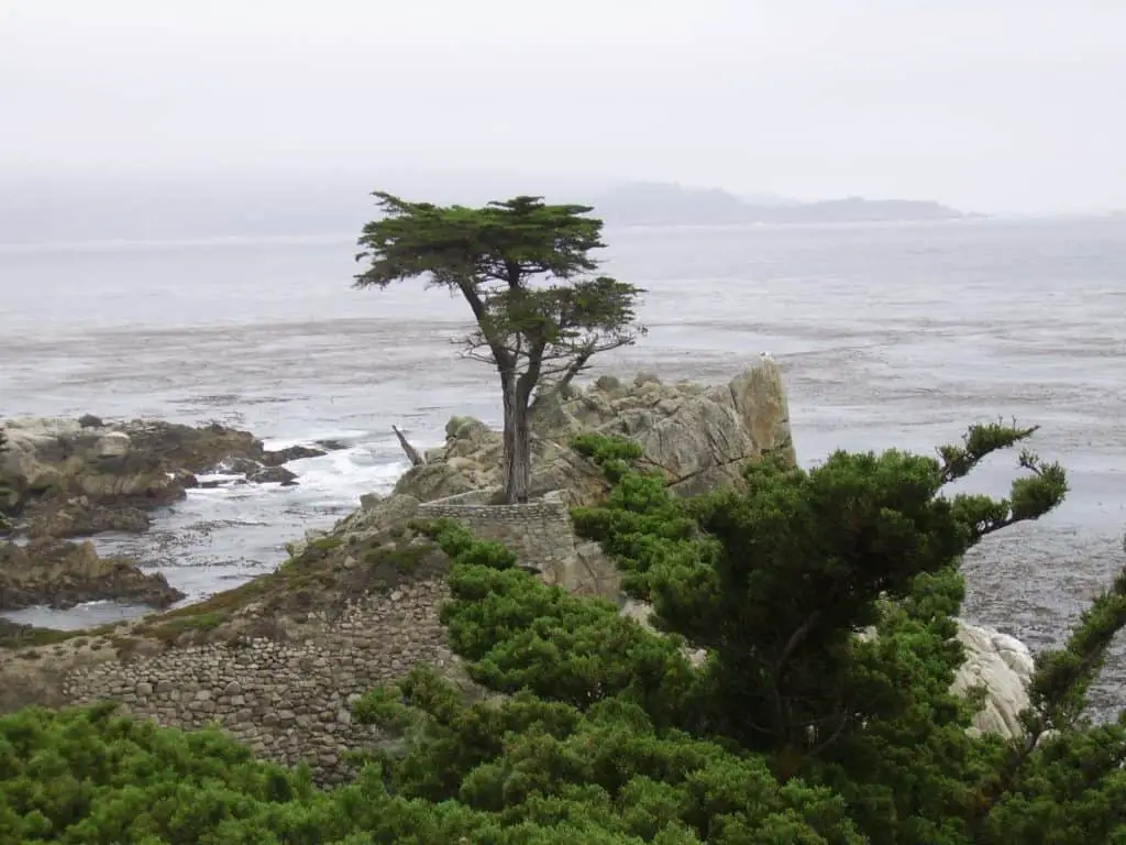 Kalifornien Sehenswürdigkeiten: 19 Highlights im Golden State California