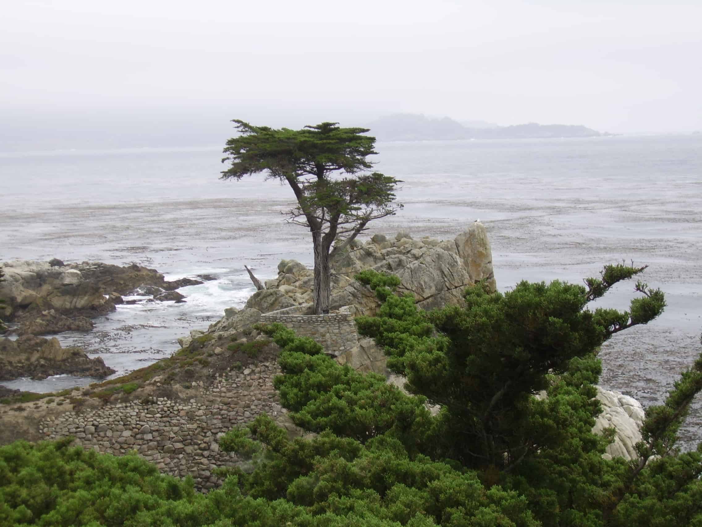 Kalifornien Sehenswürdigkeiten: 19 Highlights im Golden State California