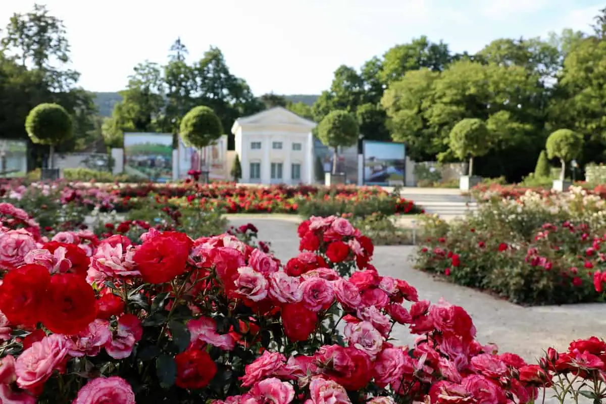 Die schönsten Sehenswürdigkeiten in Baden bei Wien + Veranstaltungstipps