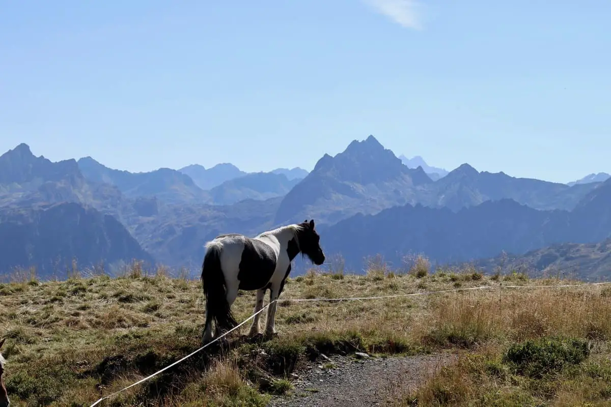 Montafon Tipps: Wandern und Mountainbiken rund um Gaschurn
