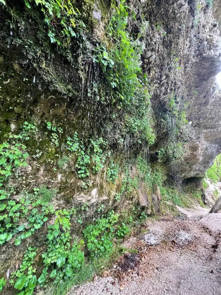 Wanderung Molln Rinnende Mauer