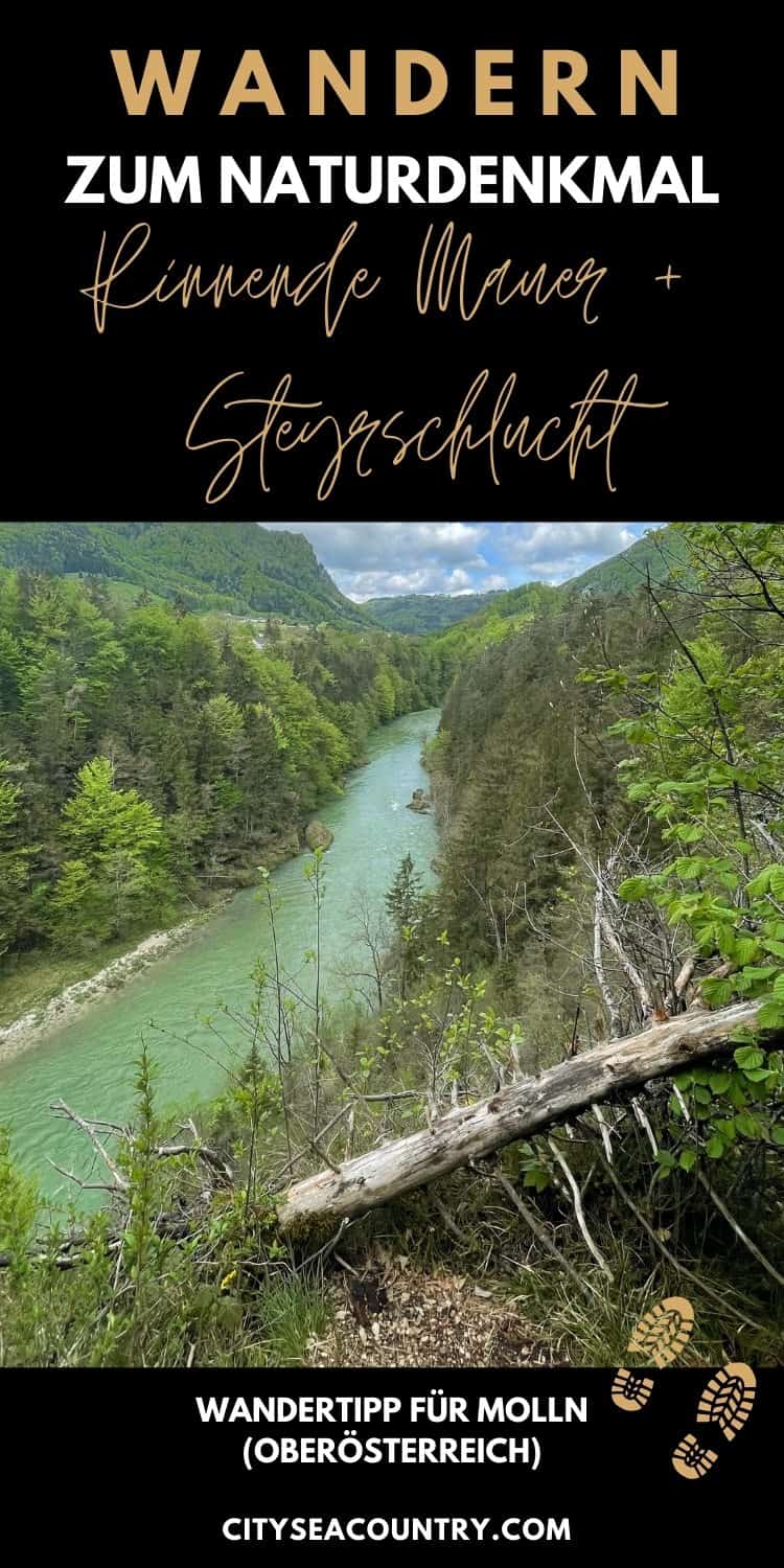 Wandern in Oberösterreich: Wanderung in Molln zur Steyrschlucht und Rinnende Mauer