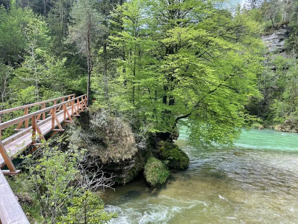 Wandern in Molln zur Rinnenden Mauer