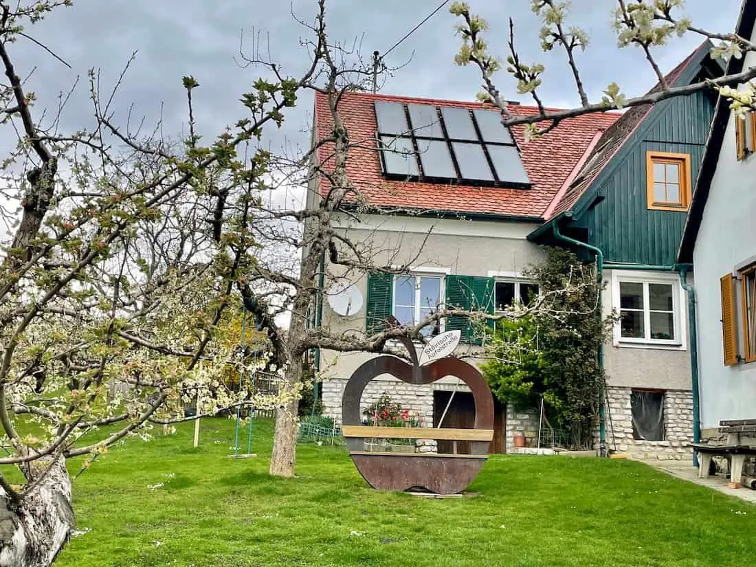 Apfelblüte in der Steirischen Apfelstraße