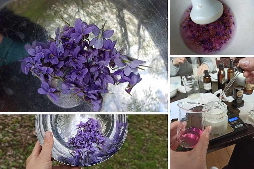 Naturkosmetik Workshop in Niederschlesien