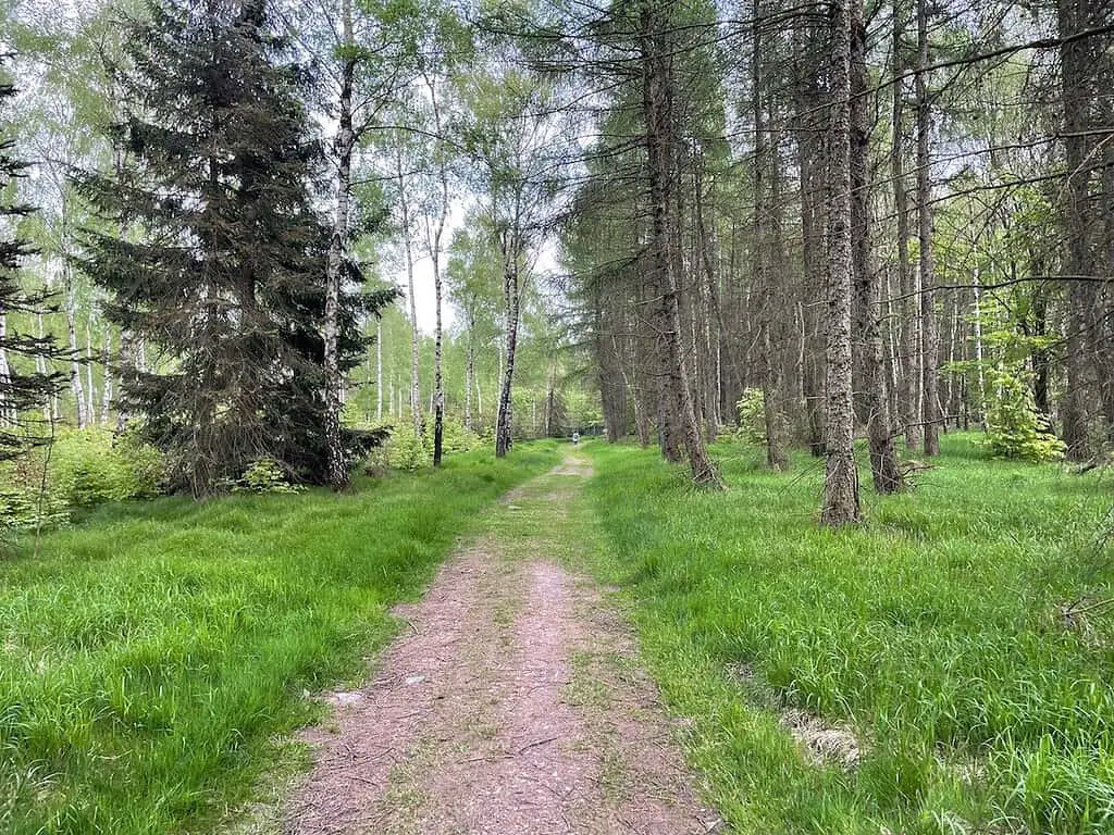 Wanderwege in der Böhmischen Schweiz