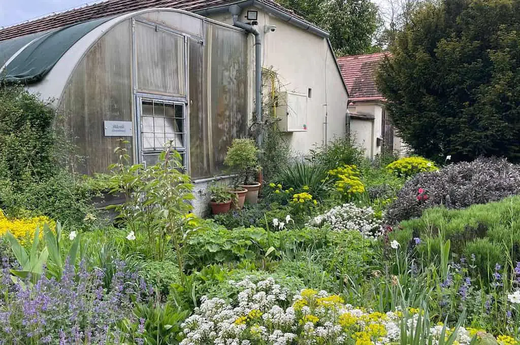 Kräutergarten im Schloss