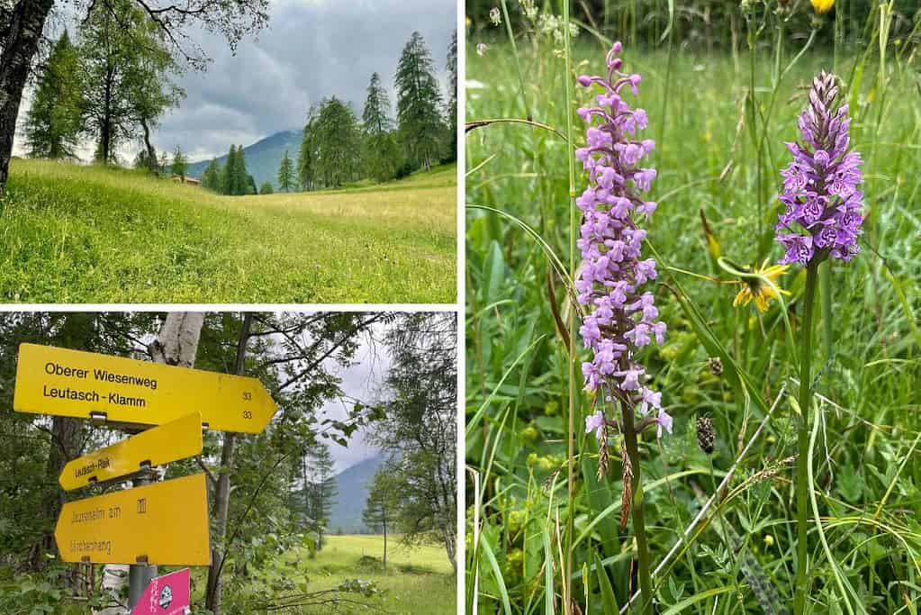 Leutascher Talwiesen Wanderung