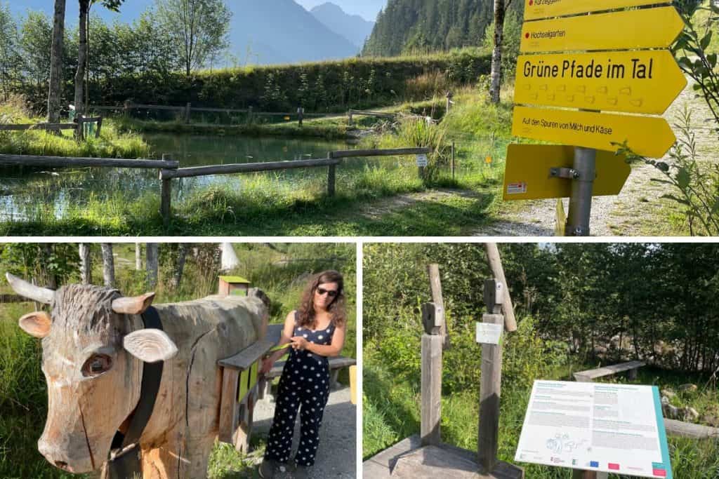 Grüne Pfade im Tal