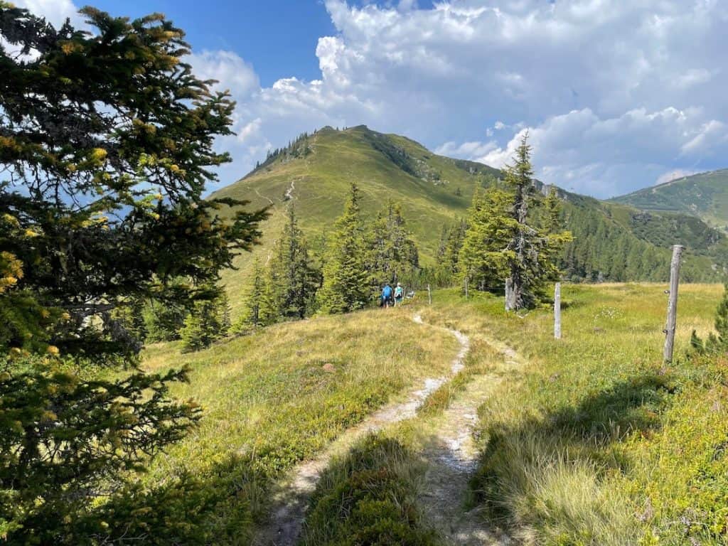 Wanderung zum Mooskopf Kleinarl