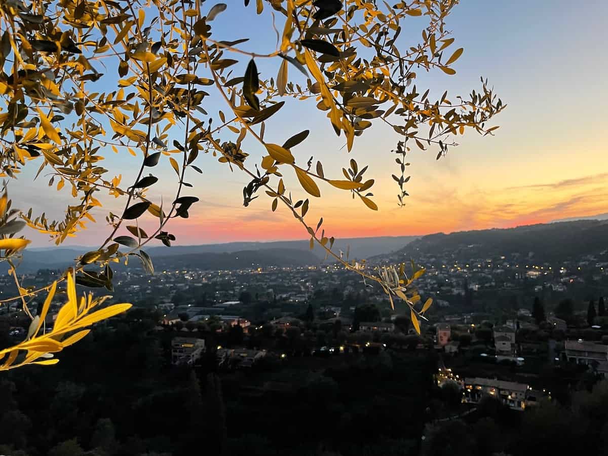 Sonnenuntergang bei Saint Paul de Vence mit Olivenzweigen im Blickfeld