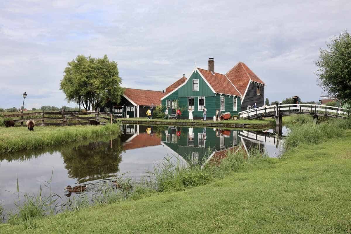 idyllisch gelegenes Windmühlendorf Zaanse Schans mit saftigen Wiesen, schmalen Bächen und bunten Holzhäusern mit rot gedeckten Dächern.