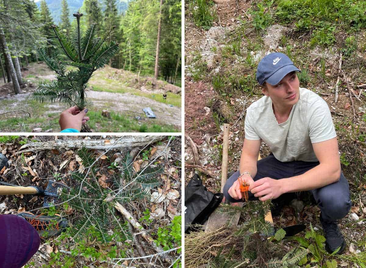 Nachhaltigkeit in Leogang: Bäume für morgen pflanzen