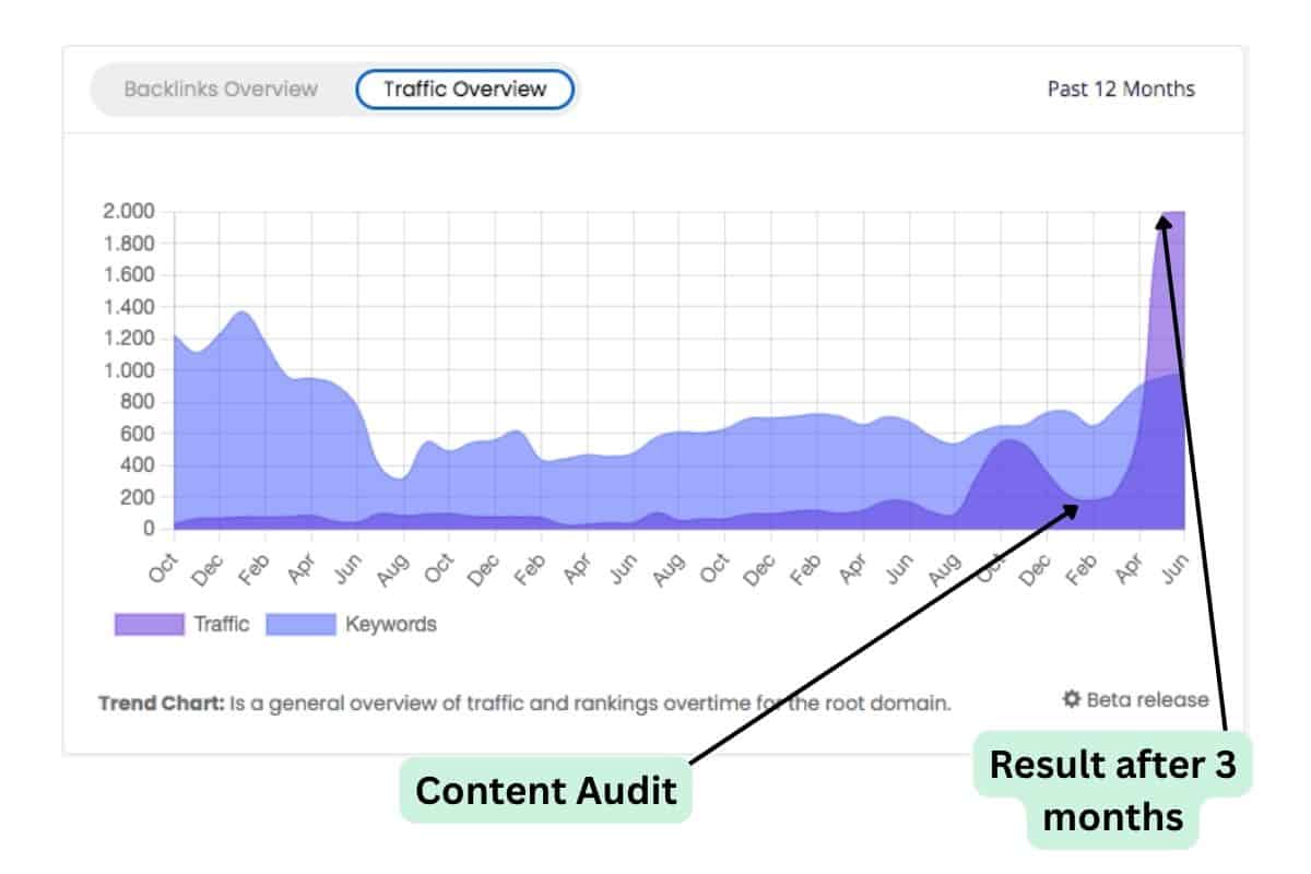 Case Study Blog Beratung mit Content Audit