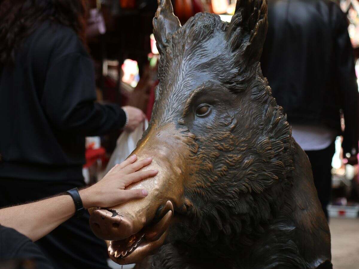 Das berühmte Schwein, die Fontana del Porcellino gilt als Glückssymbol und ist eine beliebte Sehenswürdigkeit in Florenz.