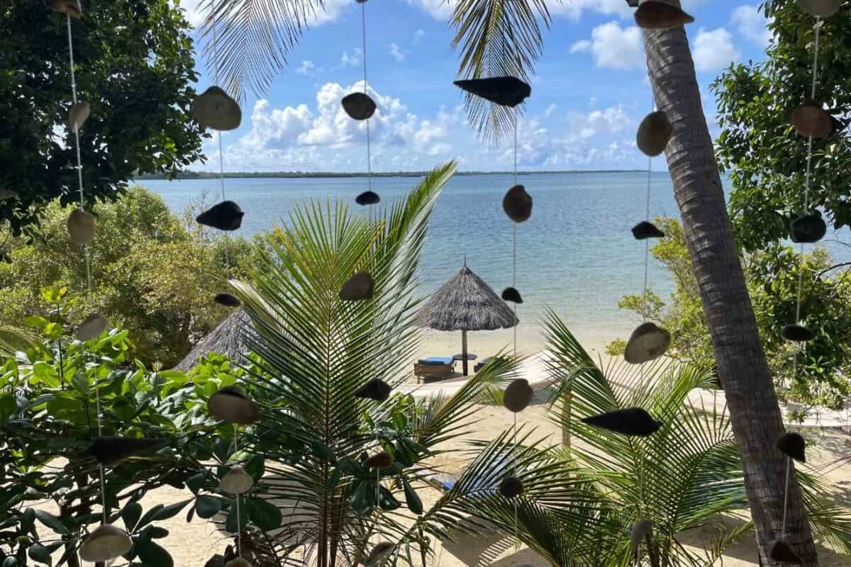 View of palm trees, and the beach at Mafia Island.