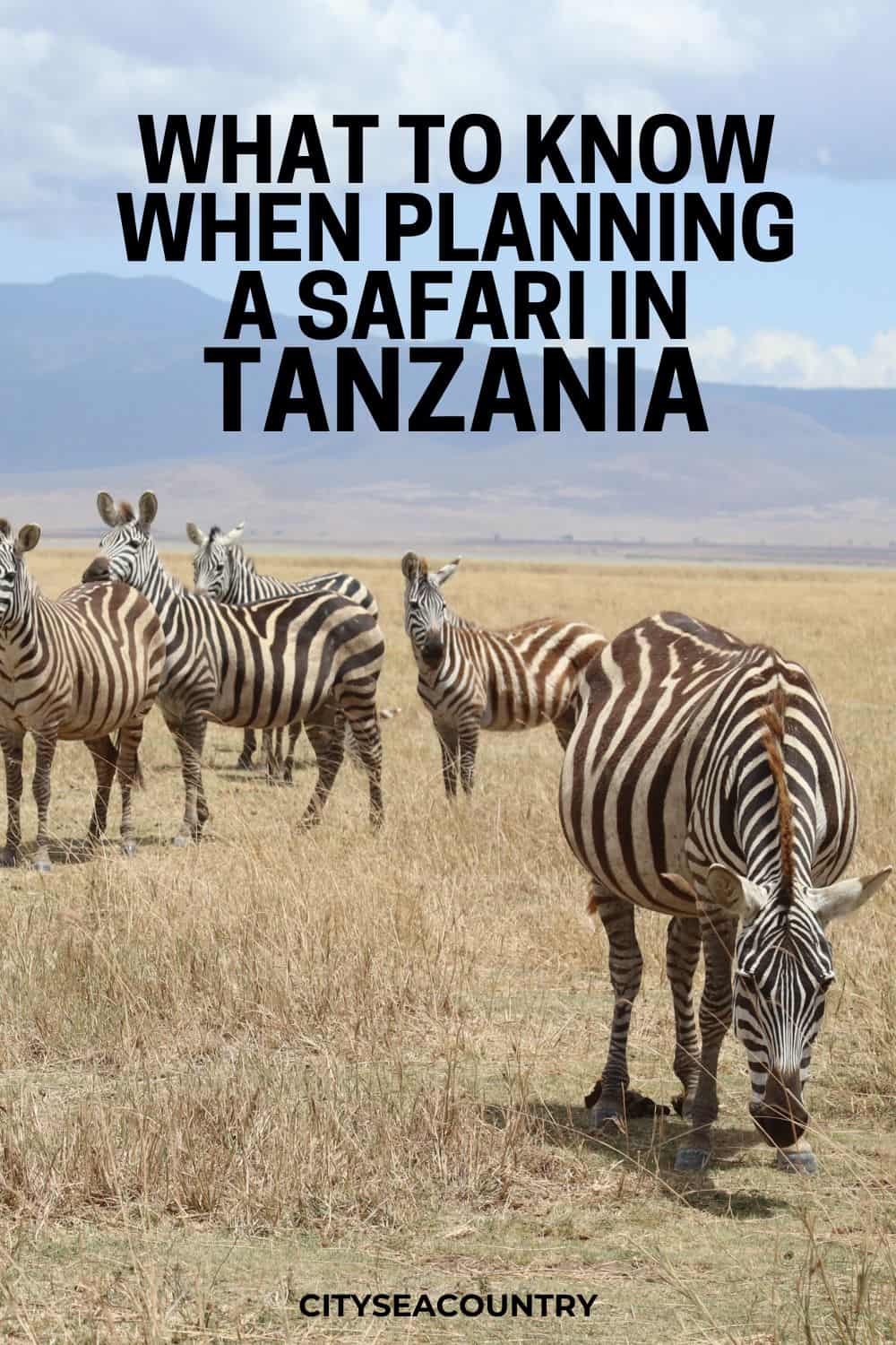 How to plan a safari and island stay in Tanzania