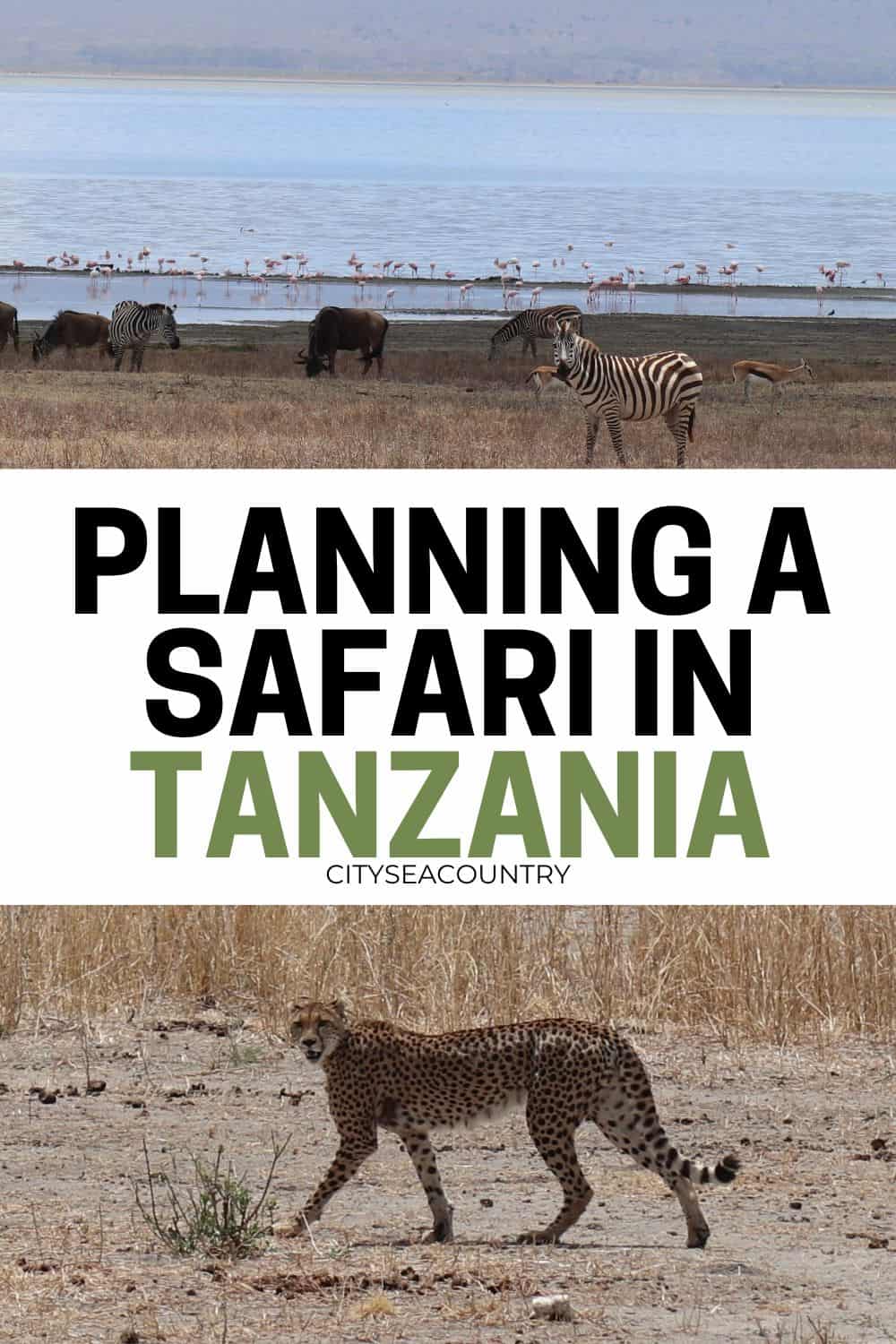 Tips on how to plan your safari trip to Tanzania