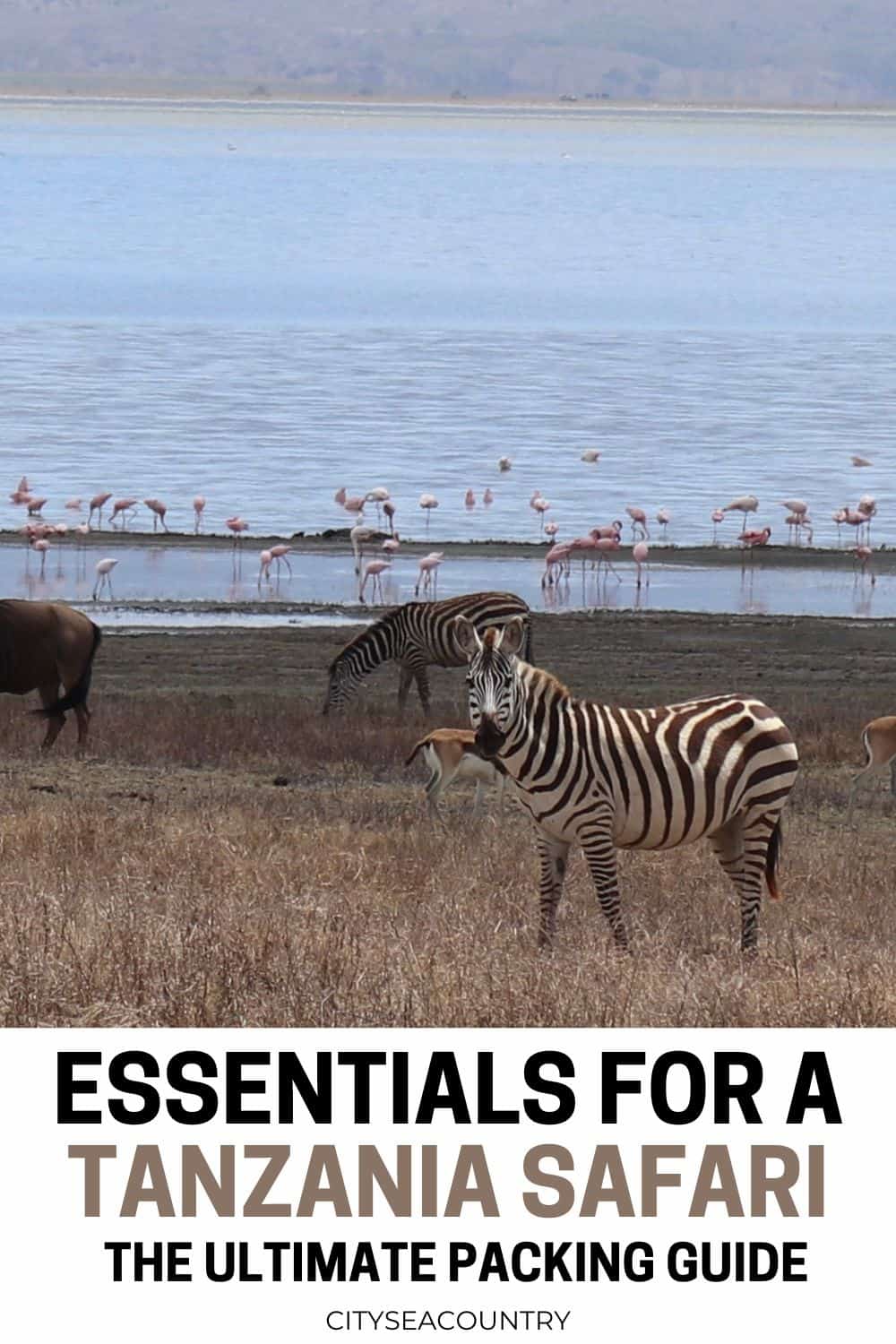 Ultimate Tanzania safari list including clothes and essential gear