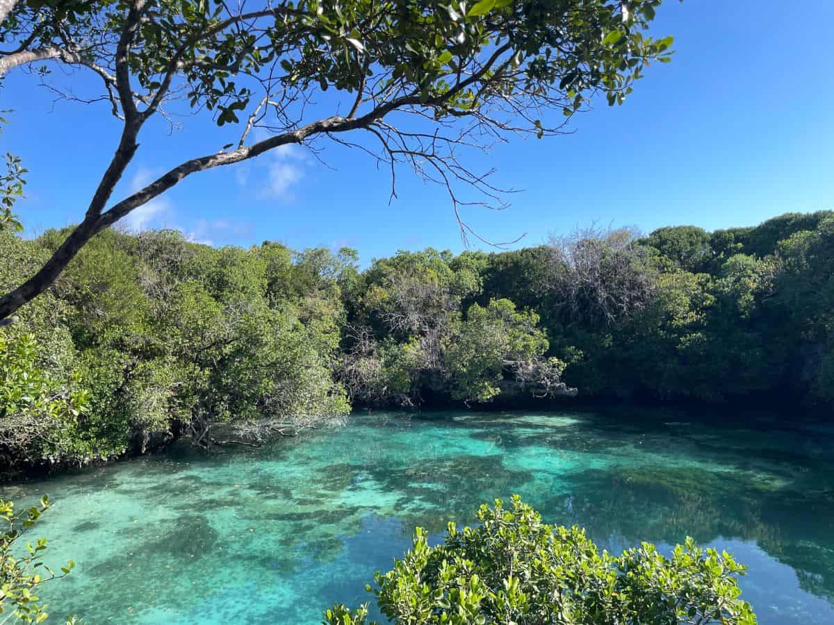 Blick auf die von Wäldern umgebene Blue Lagoon, einem runden ca drei Meter tiefen See auf einer Insel