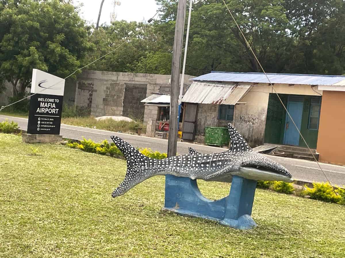 Einfahrt zum kleinen Flughafen auf Mafia Island mit einer Skulptur eines Walhaies
