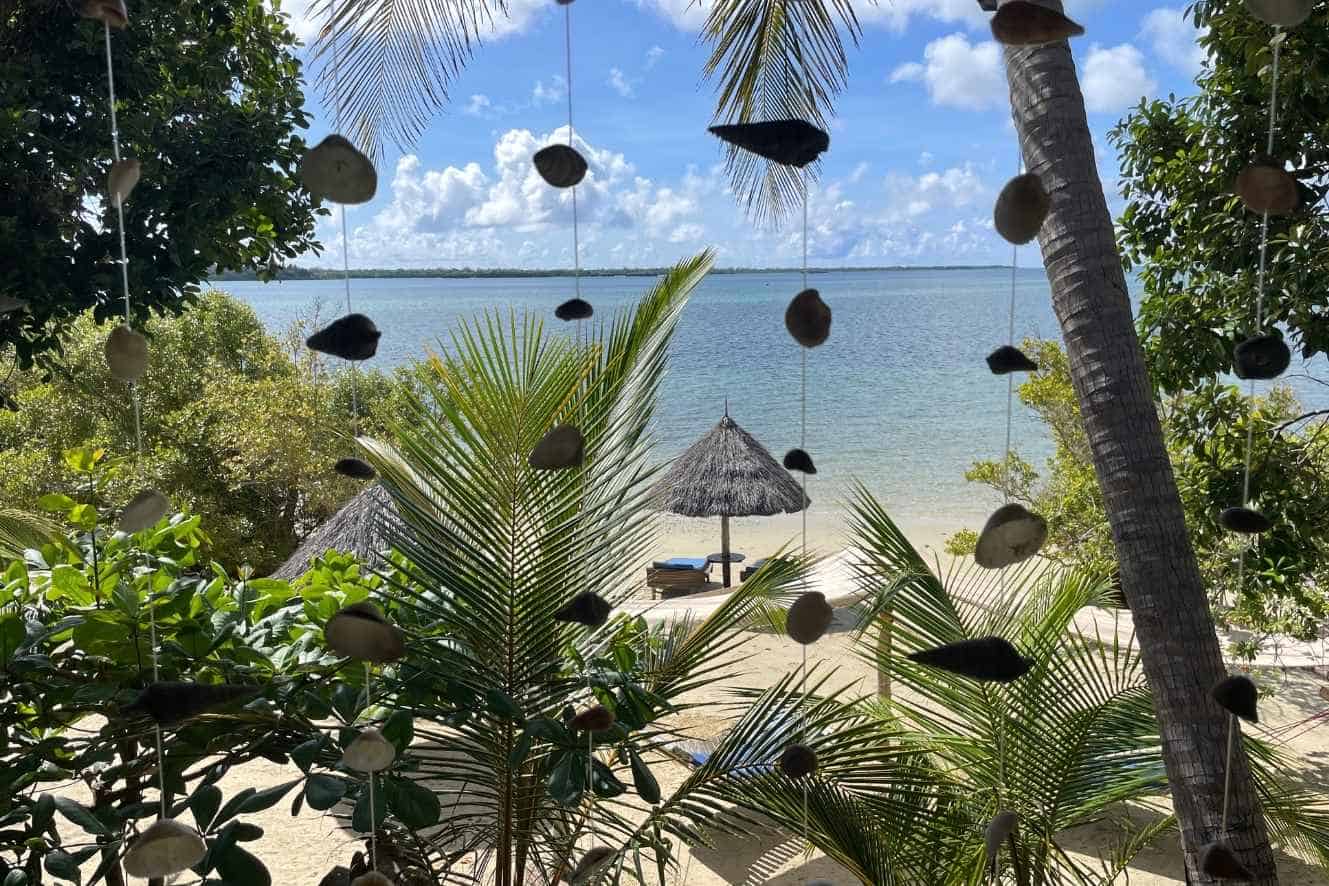 Mafia Island Tansania Tipps: Bade-Urlaub und Walhaie