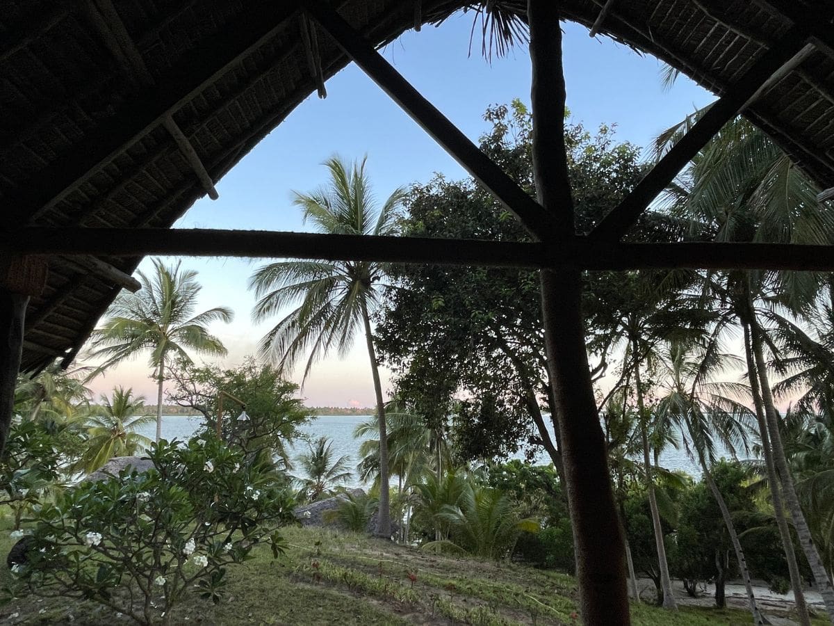 Blick von der Bungalow Terrasse auf den Garten mit Palmen und Blick auf das Meer auf Mafia Island
