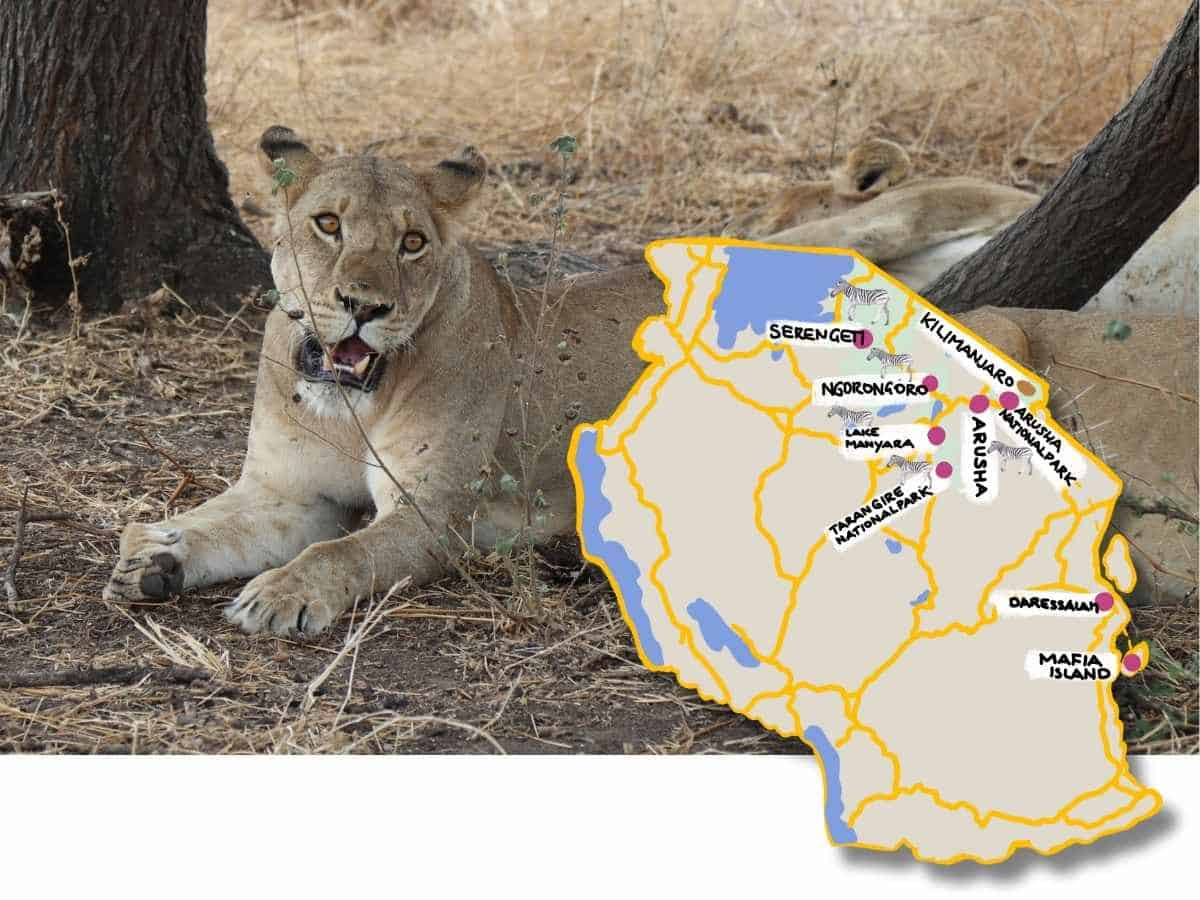 Tansania Reise planen: Safari, Baden, Tipps & Highlights