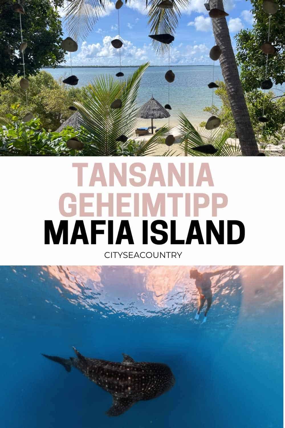 Reisetipps für Mafia Island mit Badeurlaub und Walhaien