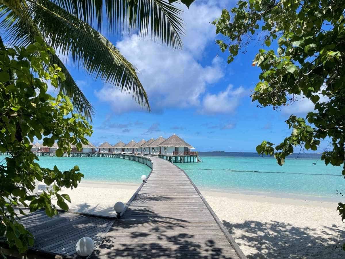 Malediven Traumurlaub Blick vom weißen Sandstrand umrahmt von Palmen auf die Wasserbungalows