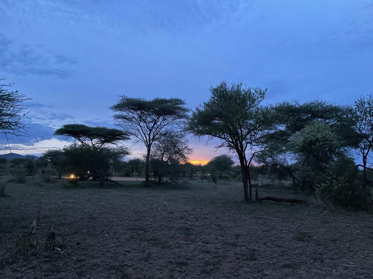 Sonnenuntergang in der Serengeti