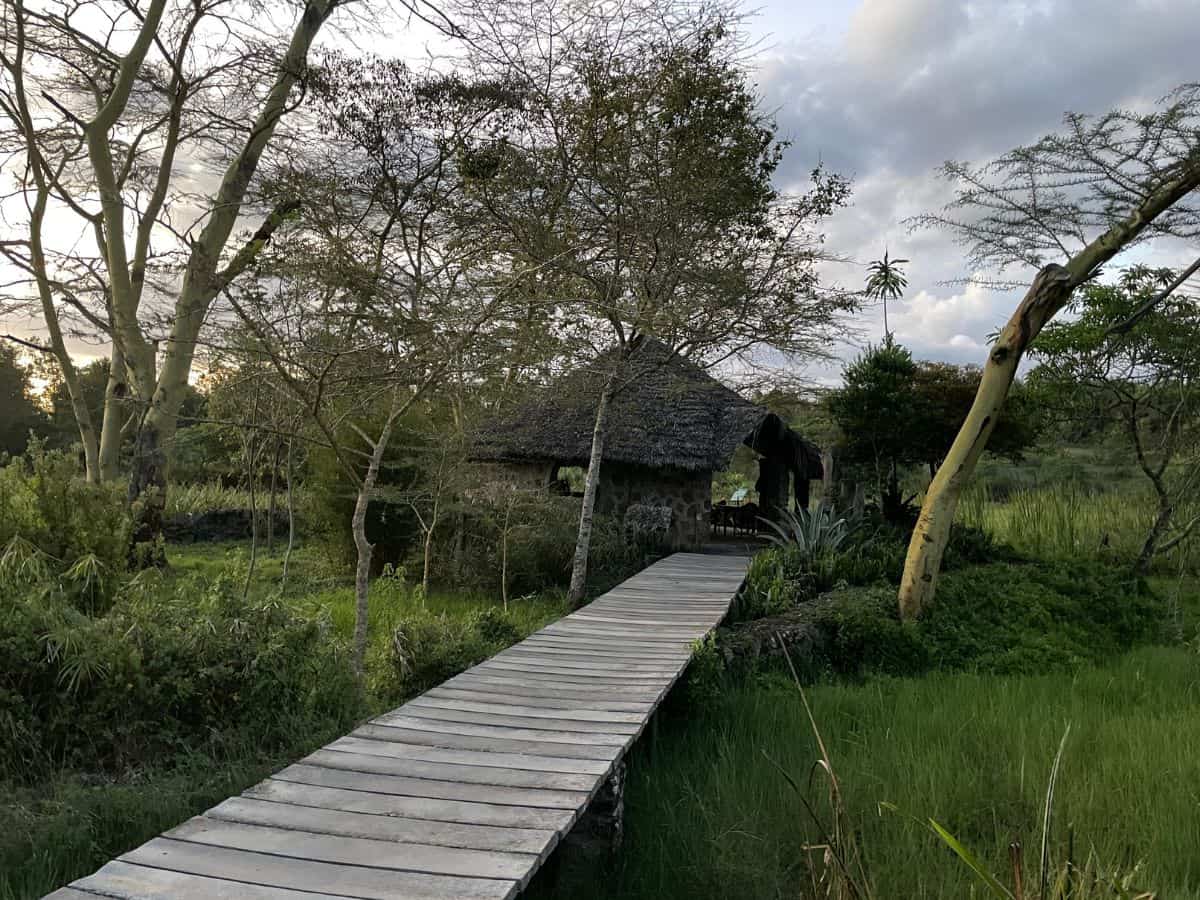 Lodge Arusha Nationalpark Abendstimmung mit Vogelbeobachtungspavillon