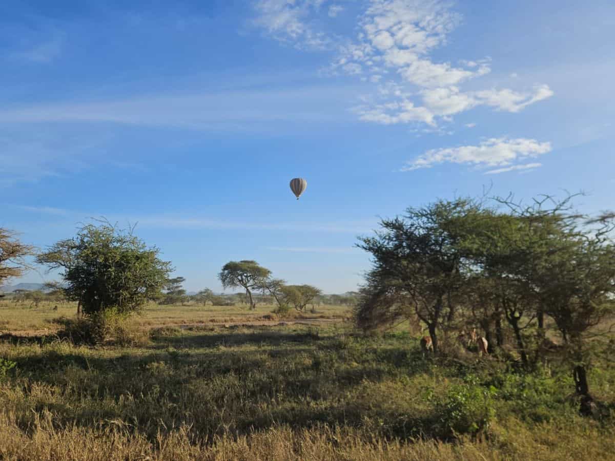 Ballonfahrt Serengeti Tansania