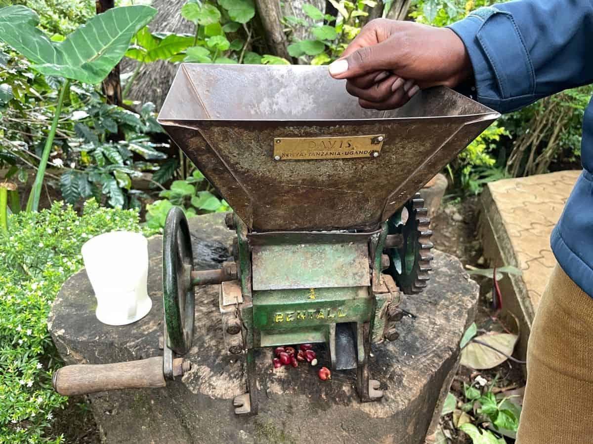 alte Kaffeeschälmaschine in Materuni