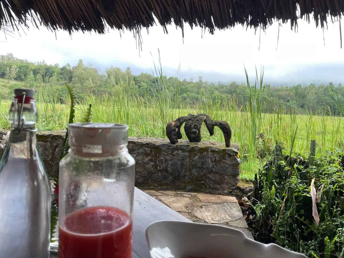 Frühstück mit Aussicht auf den Arusha Nationalpark