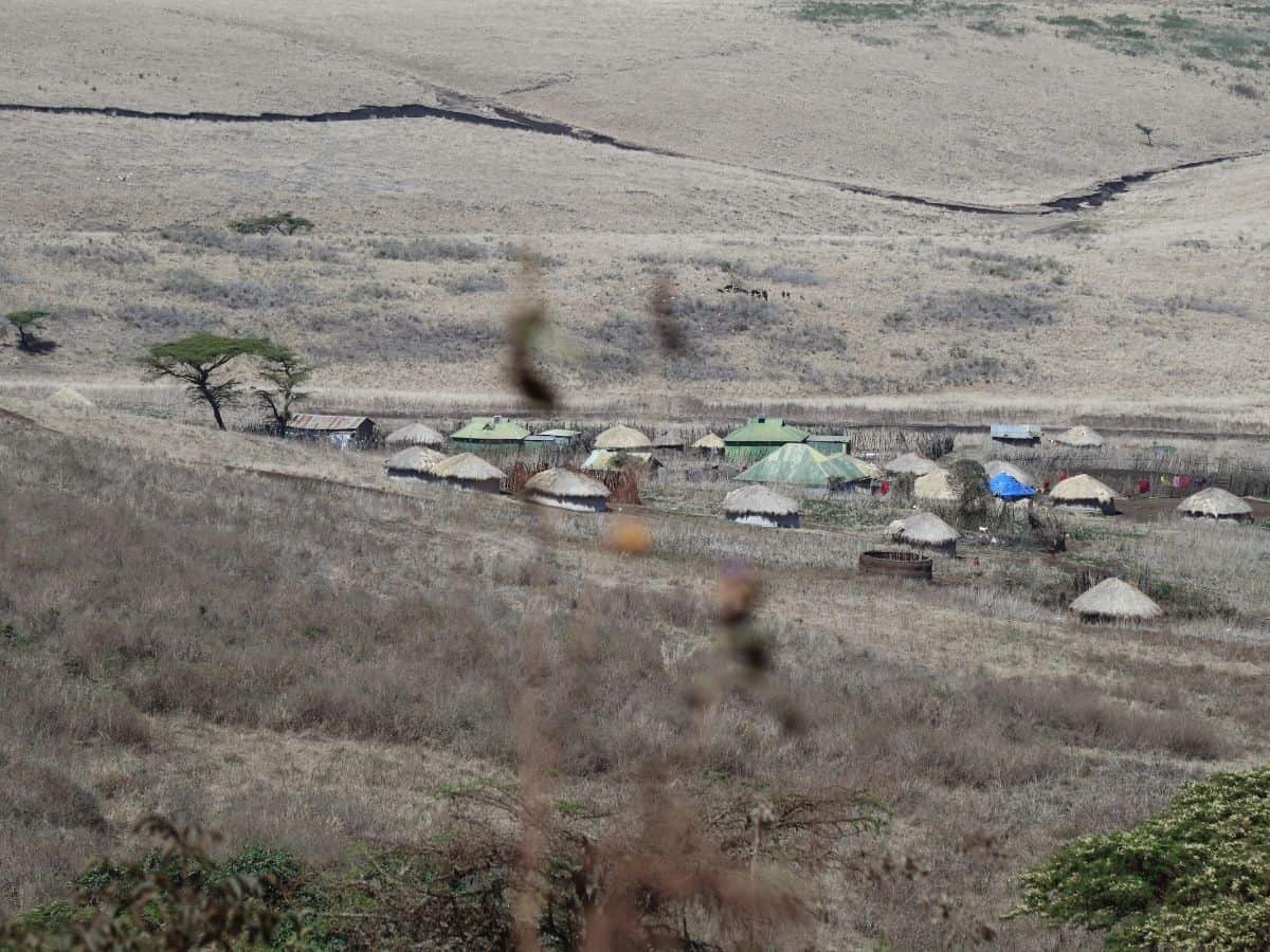 Massai Dorf umgeben von trockener Landschaft in Ngorongoro Conversation Area