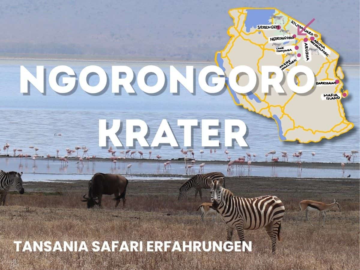 Ngorongoro-Krater: Unsere Erfahrungen, Tipps und ob sich die Safari lohnt