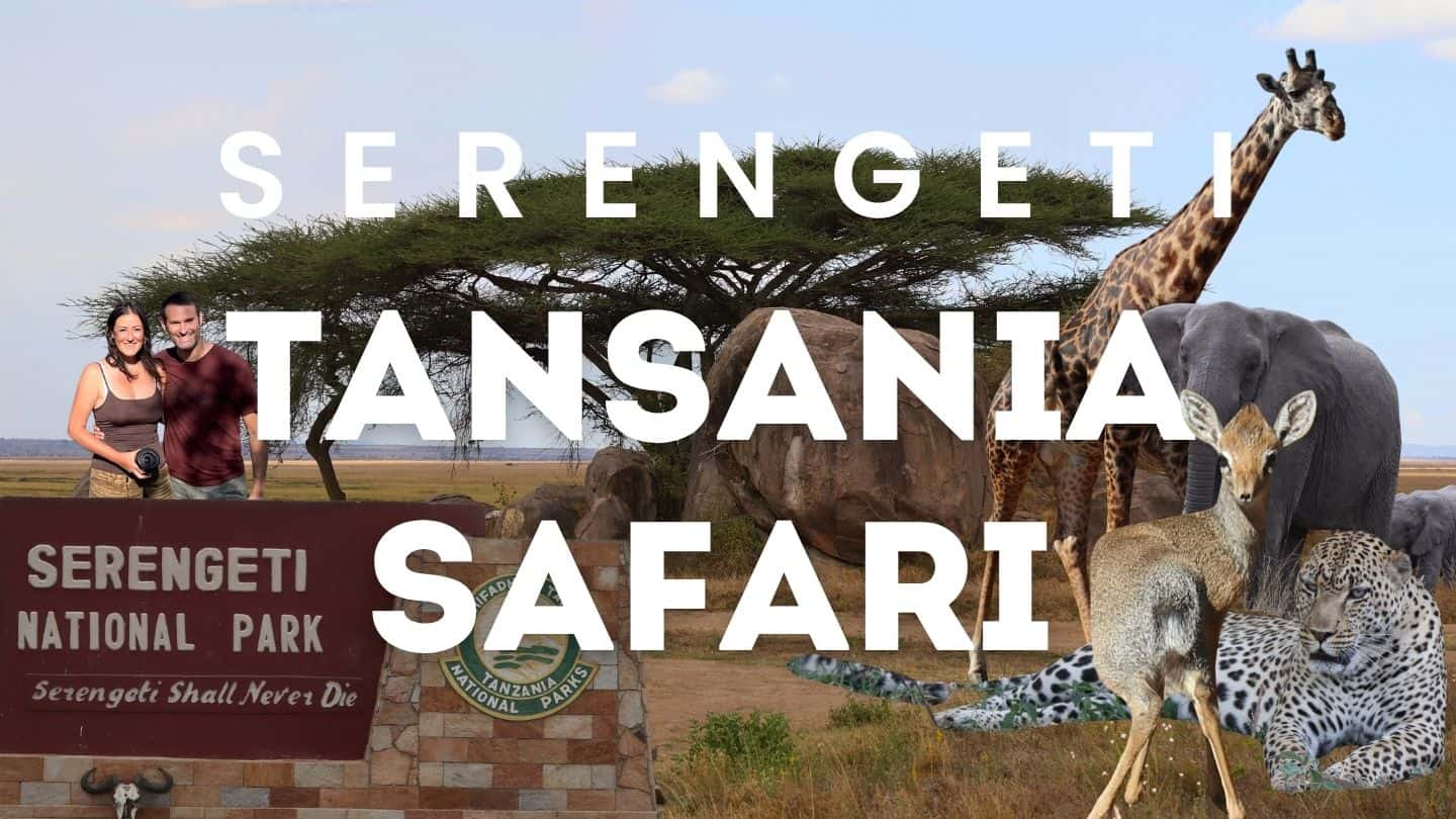 Serengeti Nationalpark Safari YouTube Video Thumbnail