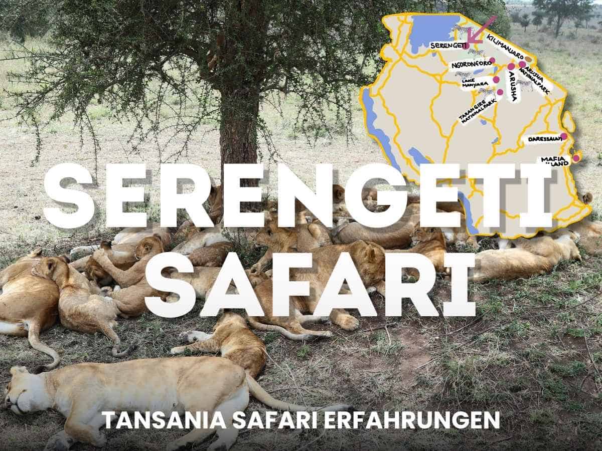 Serengeti Nationalpark Safari mit gemalter Karte von cityseacountry und Löwinnen mit Jungen