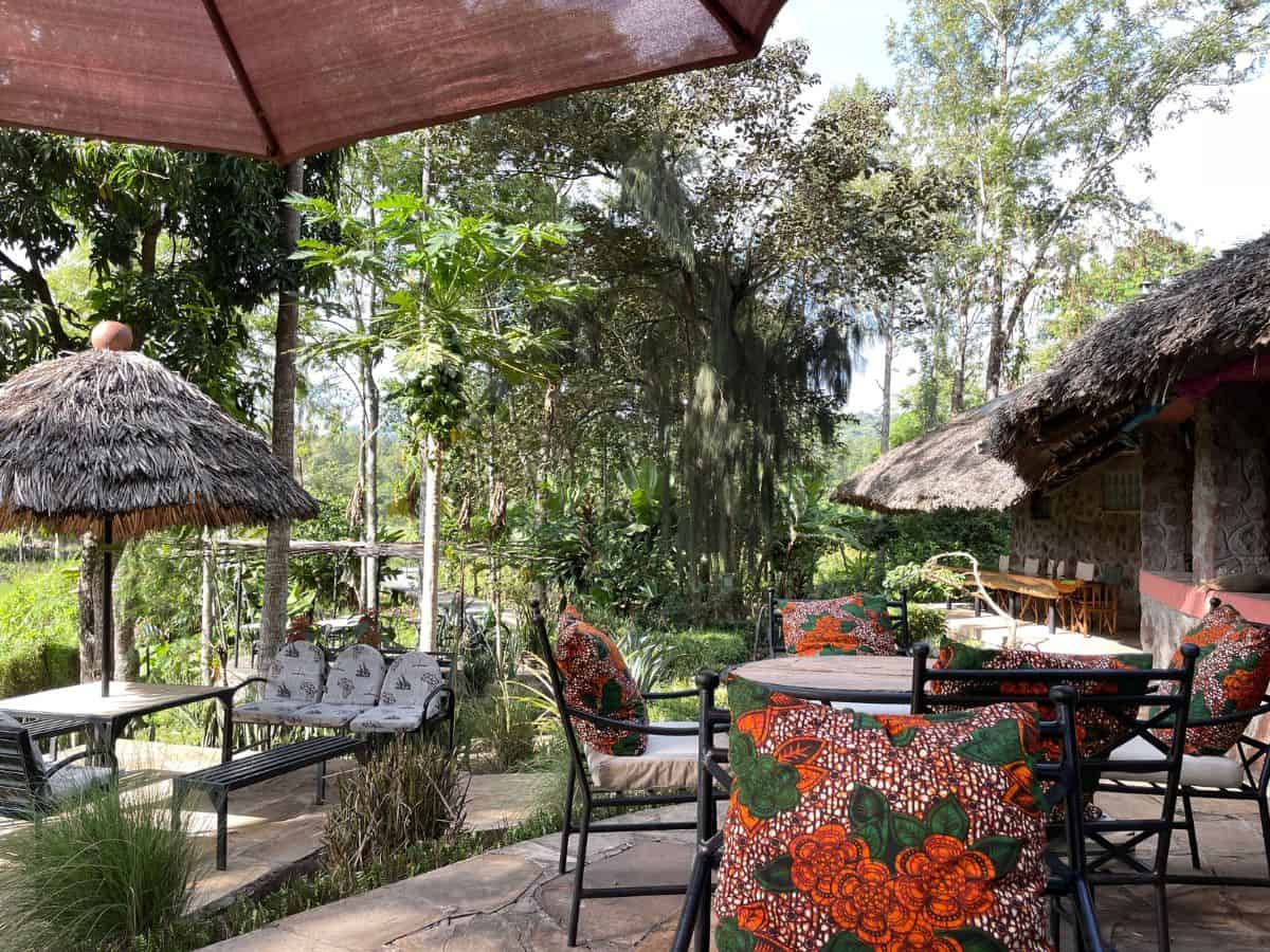 Außenbereich mit Terrassen und umgeben von Wald in der Kiboko Lodge Arusha Nationalpark