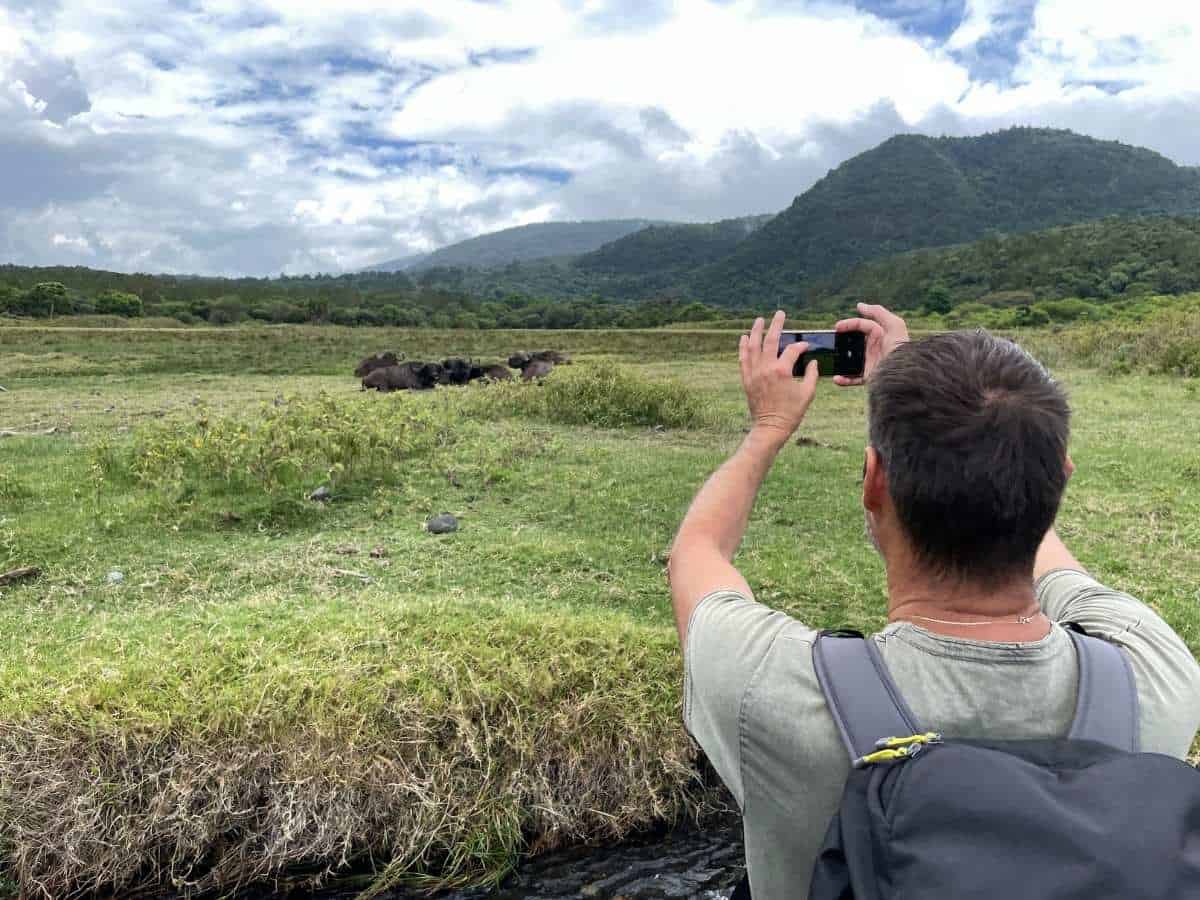 Partner von Christina cityseacountry beim Fotografieren von Wasserbüffeln während Wandersafari