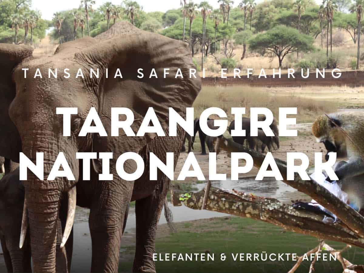 Tarangire Nationalpark Tansania Safari Erfahrungen Texoverlay über Elefanten und Affen im Nationalpark